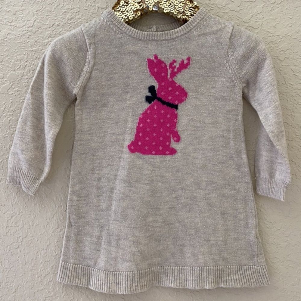 Baby Gap Jackrabbit Dress
